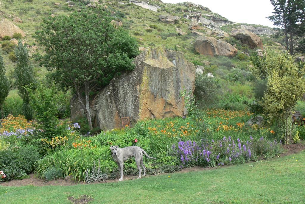 Aspen Guest House Clarens Esterno foto